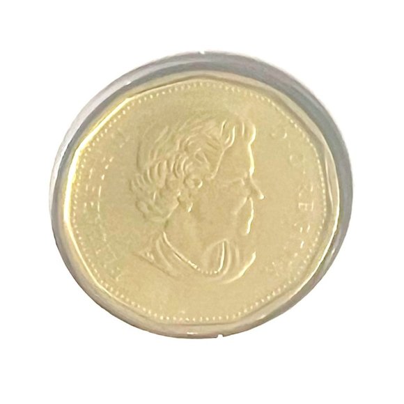 2018 Canada New Born Celebration $1 Loonie Strike 5-Coin Set! - Picture 5 of 10